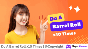 Do A Barrel Roll - Player Counter