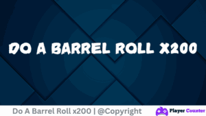 Do A Barrel Roll - Player Counter