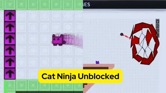 Games Similar To Cat Ninja