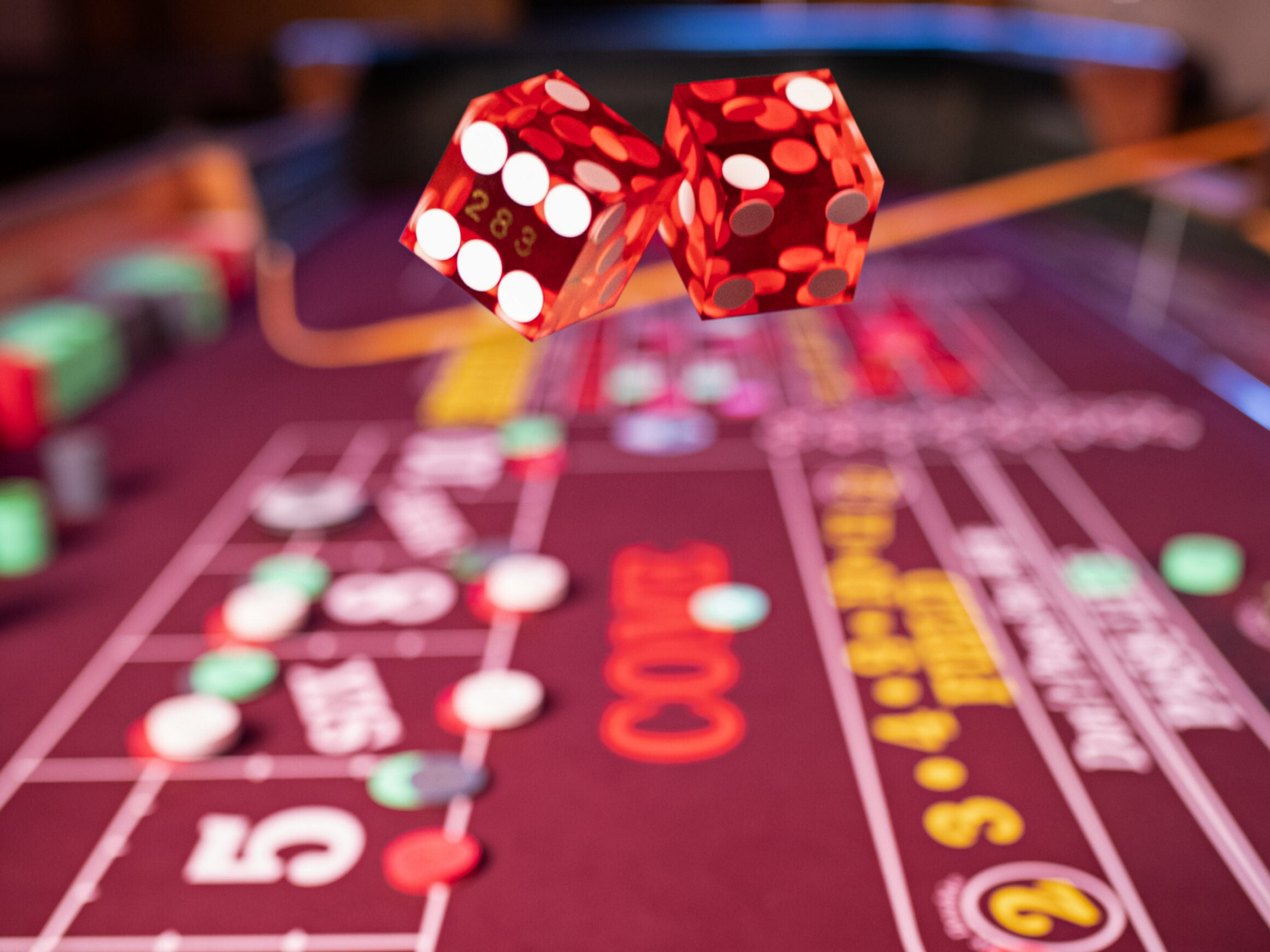 Interactive Bonus Features