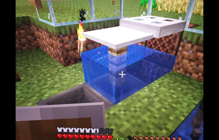 Minecraft Fish Farm