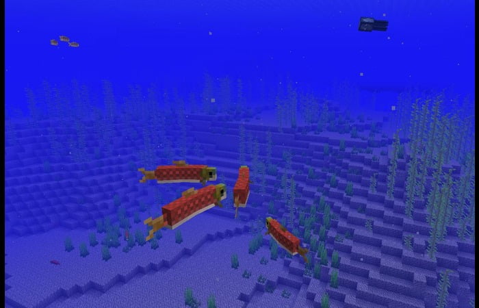 Minecraft Fish Release