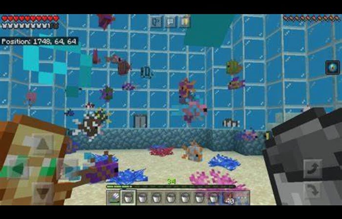 Minecraft Tropical Fish Collection