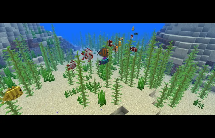 Minecraft Tropical Fish Colors