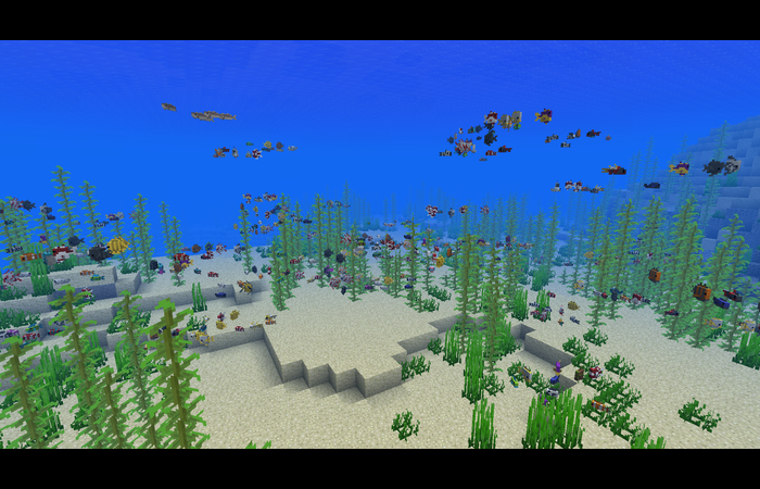 Minecraft Tropical Fish