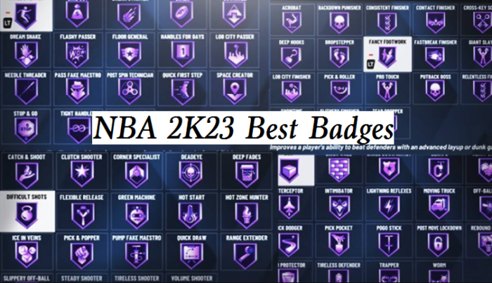 NBA 2K23 best BADGE