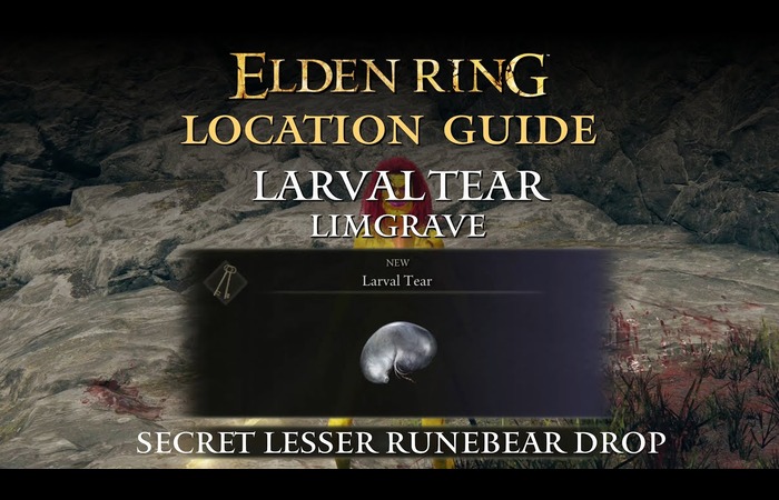 Secrets of Elden Ring Larval Tear