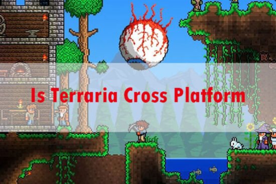 Terraria Cross Platform or Crossplay