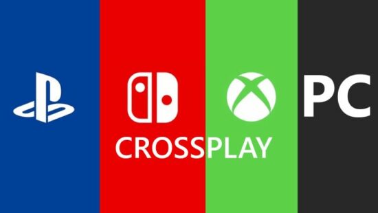 Reasons for Limited Cross-Platform Multiplayer