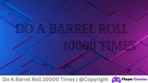 Do A Barrel Roll - Player Counter