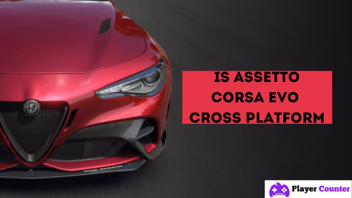 is Assetto Corsa EVO cross platform