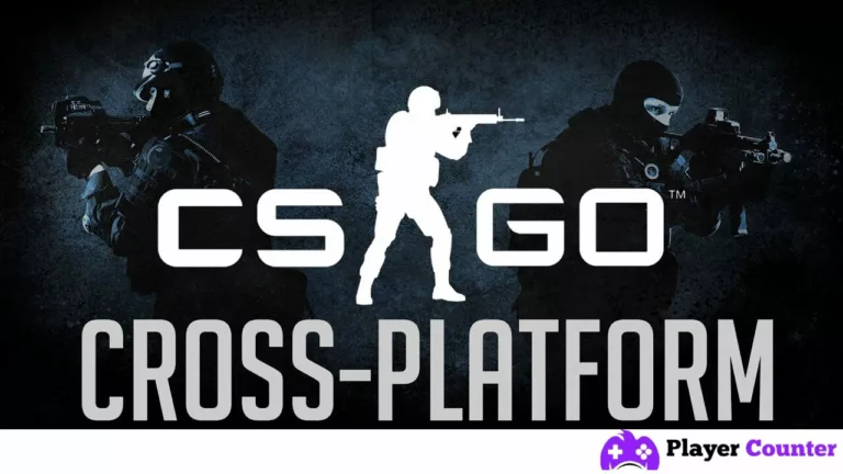 Does CSGO Support Crossplay Between Platforms?