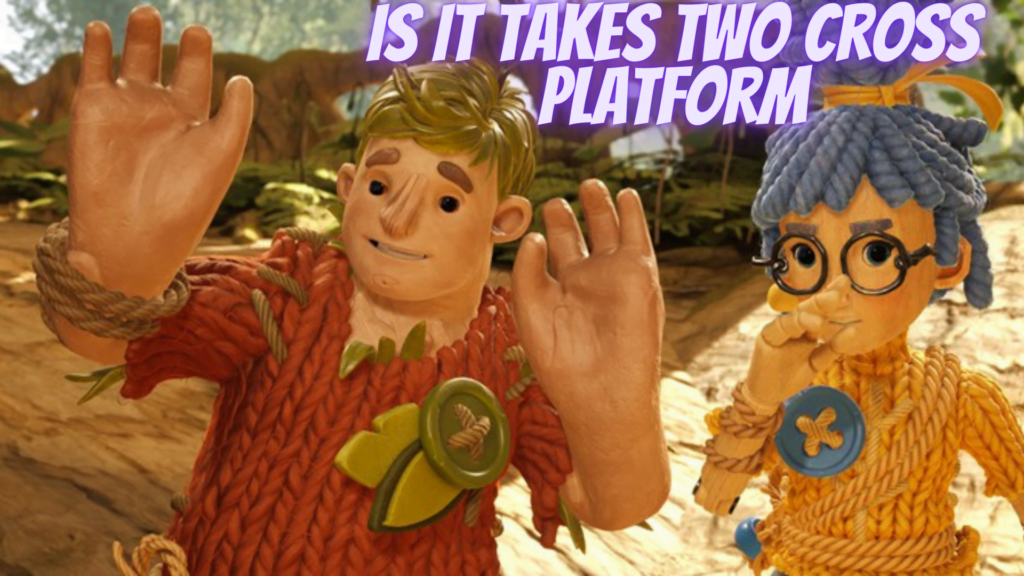 Does It Takes Two Have Cross-Platform Play? Answered – GameSkinny