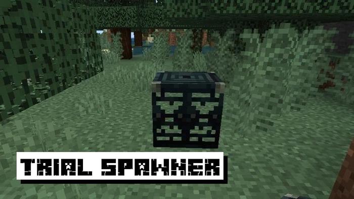 Download Minecraft 1.21.30, 1.21.40 and 1.21 apk version (Android Free)